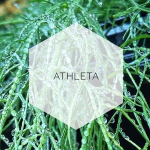 Athleta